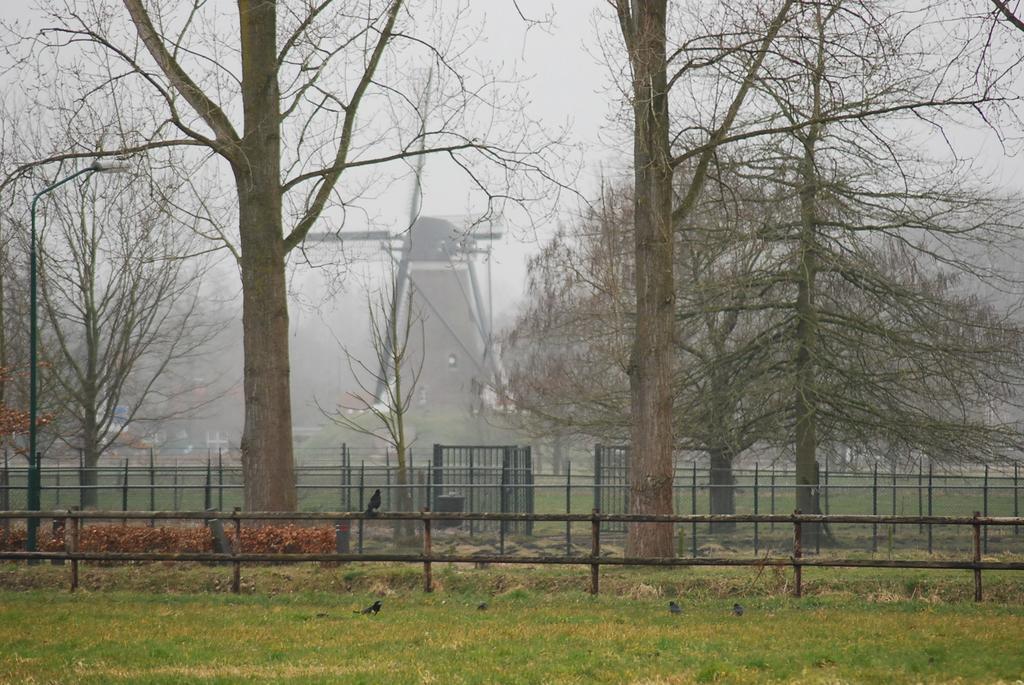 Bed & Breakfast Langlaar Nuenen Bagian luar foto